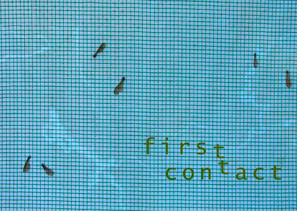 first contact p8
